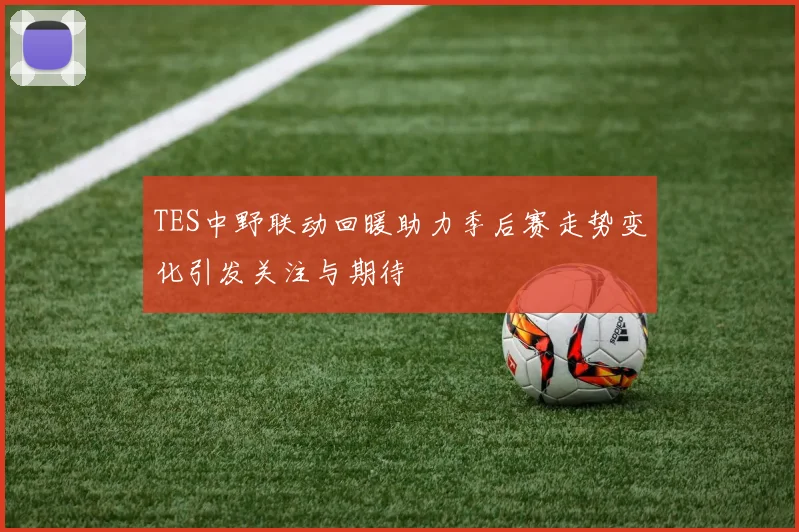 TES中野联动回暖助力季后赛走势变化引发关注与期待